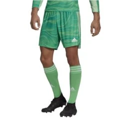 Adidas Condivo 21 GK Short -Fußballbedarf Geschäft adidas condivo 21 gk short6