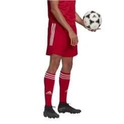 Adidas Condivo 21 Short -Fußballbedarf Geschäft adidas condivo 21 short4