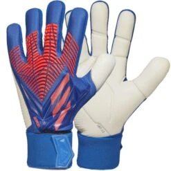 Adidas Predator Competition - Sapphire-edge