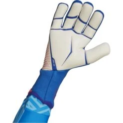 Adidas Predator Pro - Sapphire-edge -Fußballbedarf Geschäft adidas predator pro sapphire edge4