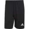 Adidas Tiro 21 Training Short 1 Adidas Tiro 21 Training Short -Fußballbedarf Geschäft adidas tiro 21 training short