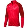 Puma Cup Polyesterjacke Core