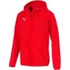 Puma Liga Casuals Hoody Jacke