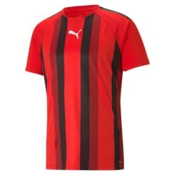 Puma TeamLiga Striped Trikot Jersey