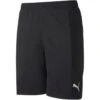Puma Torwart Short Kurz