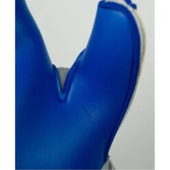 Reusch Attrakt Gold X - Gray -Fußballbedarf Geschäft reusch attrakt gold x gray4